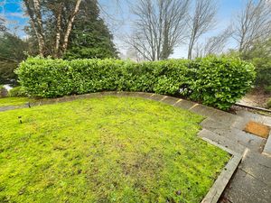 Garden- click for photo gallery